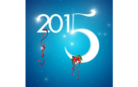 BONNE ANNEE 2015